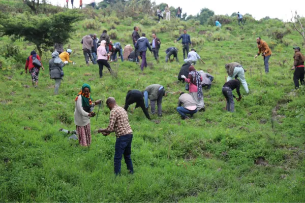Local community and travelers planting trees in Ethiopia