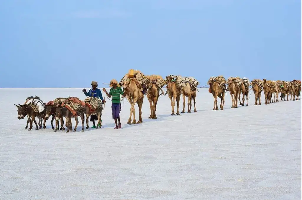 Travel destination: Afar