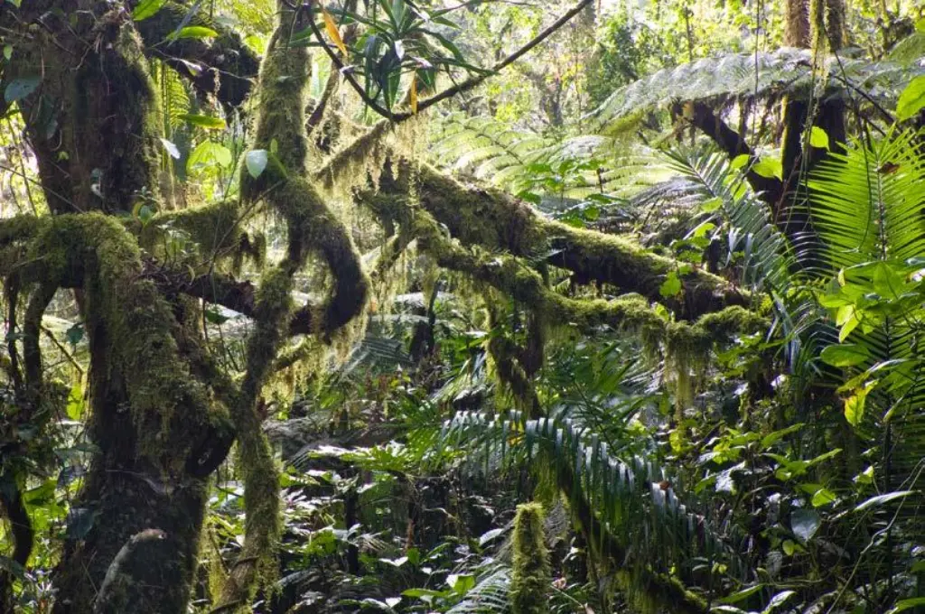 12-Day Bale Mountains & Southern Ethiopia Adventure