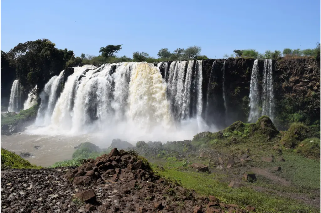 7-Day Timket Festival Experience