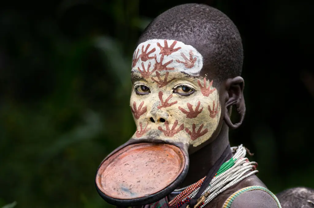 Awash Safari , Harar & Northern Wonders Tour