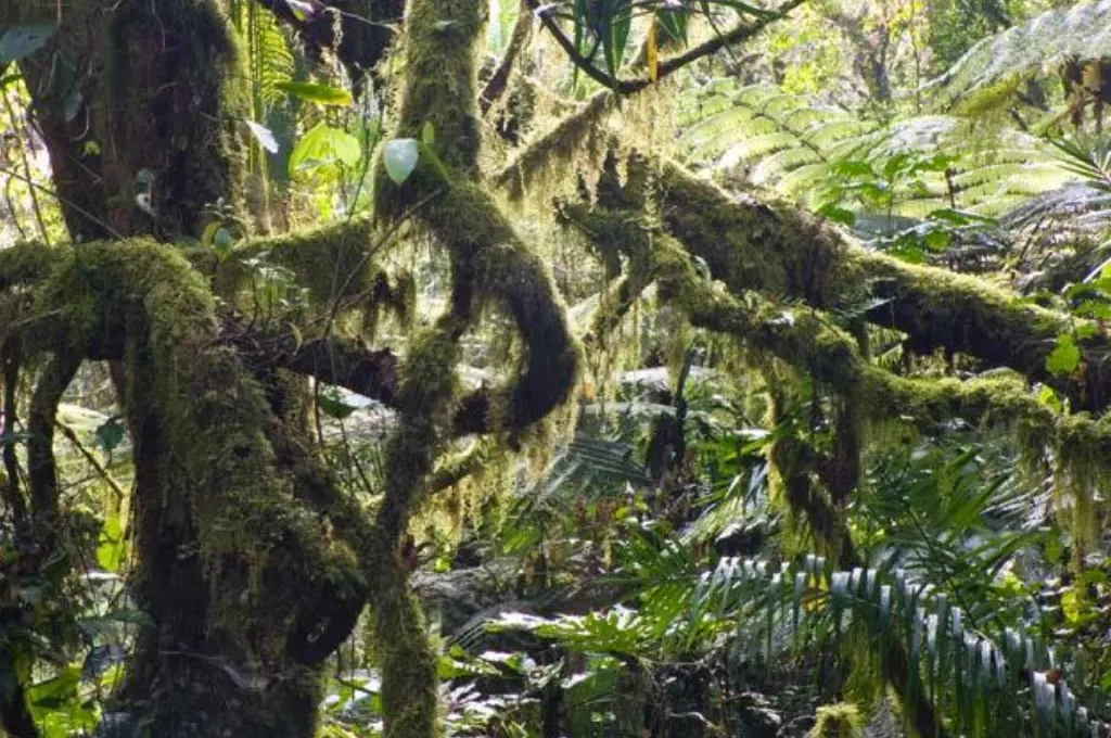 14-Day Ethiopia Coffee Farm Adventure